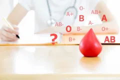 87956666_s.jpg