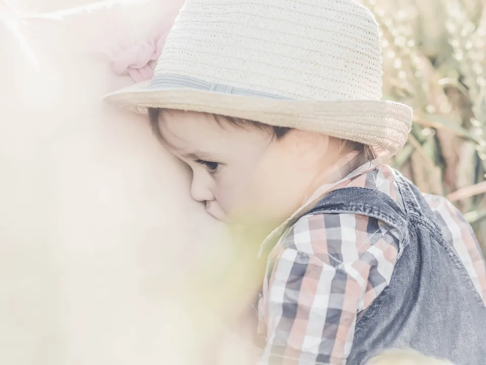 toddler-ga5640b27d_1280.jpg