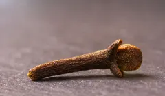 143804632_s.jpg