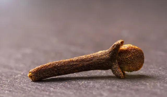 143804632_s.jpg