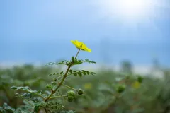 127562792_s.jpg